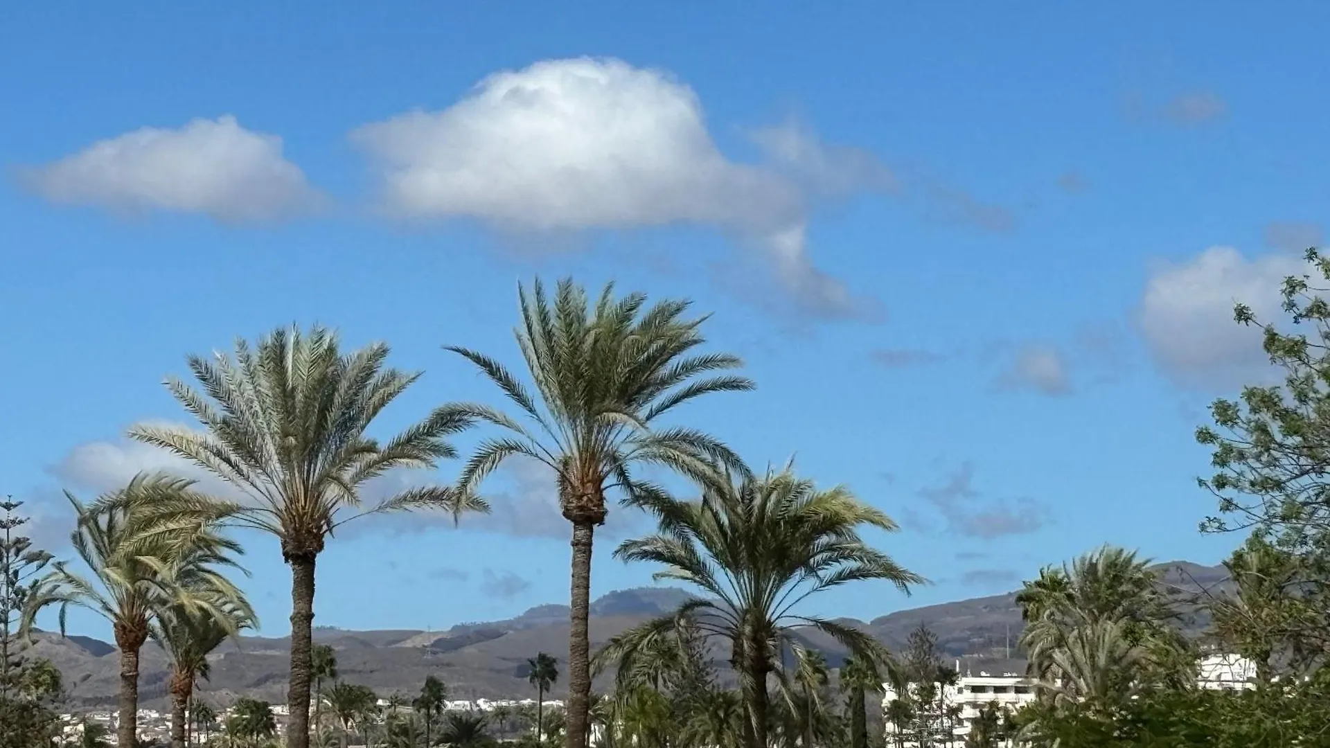 Apartment Loris Home Playa Ingles 50Mt From Yumbo By Luca Properties Gran Canaria San Bartolomé Spanien